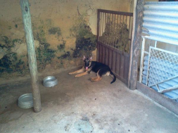 Imagem